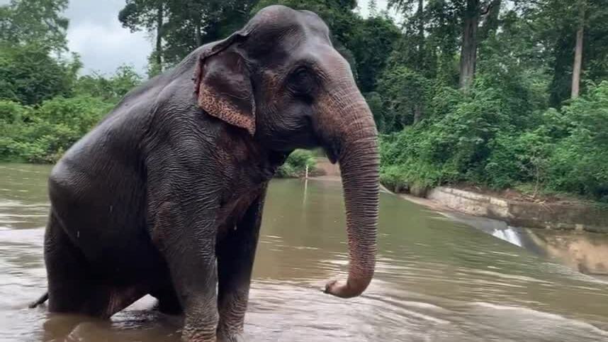Mô hình du lịch 'không làm voi khổ'