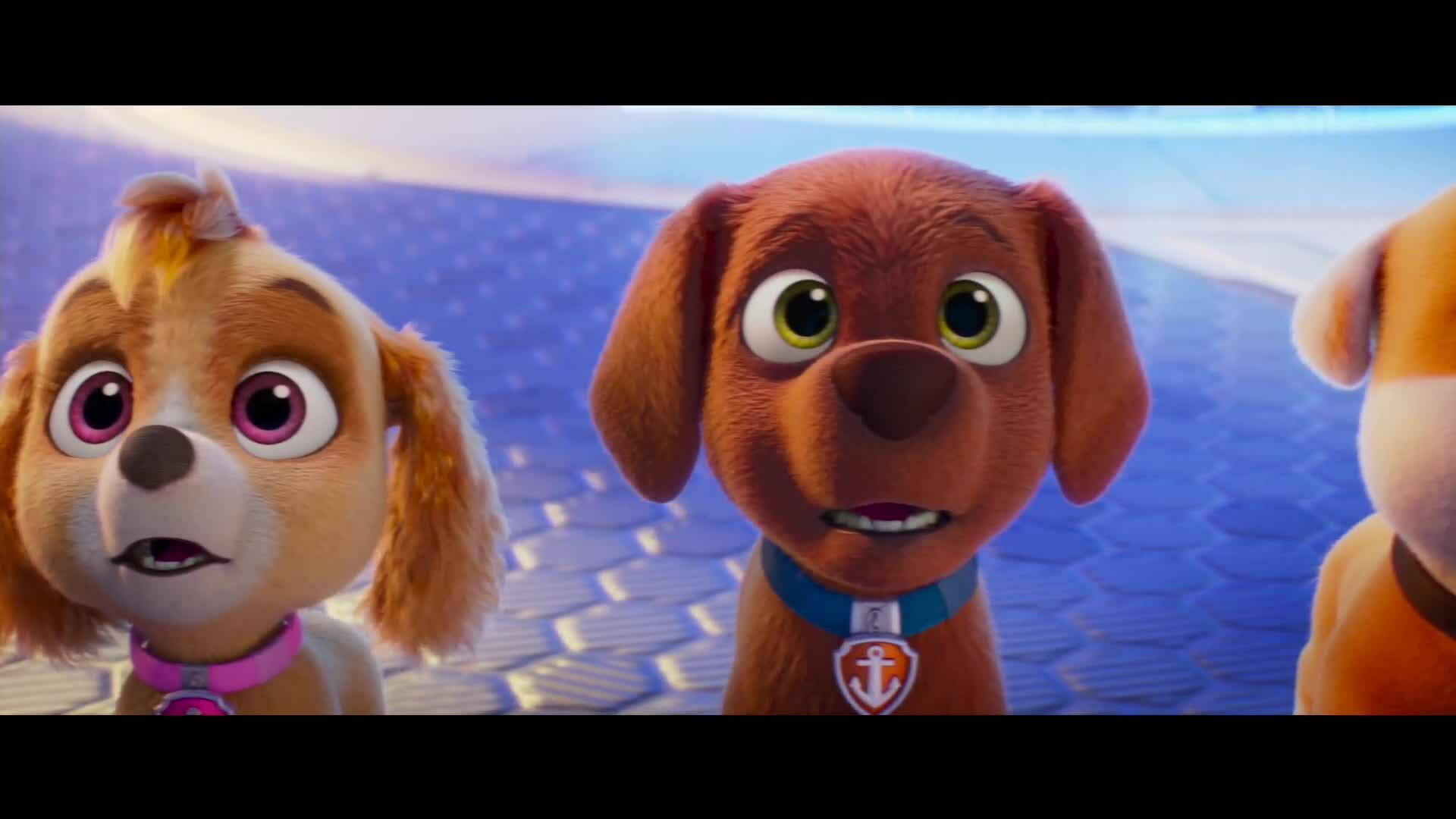 Trailer Paw Patrol