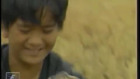 Hùng Thuận đóng 'Đất Phương Nam'