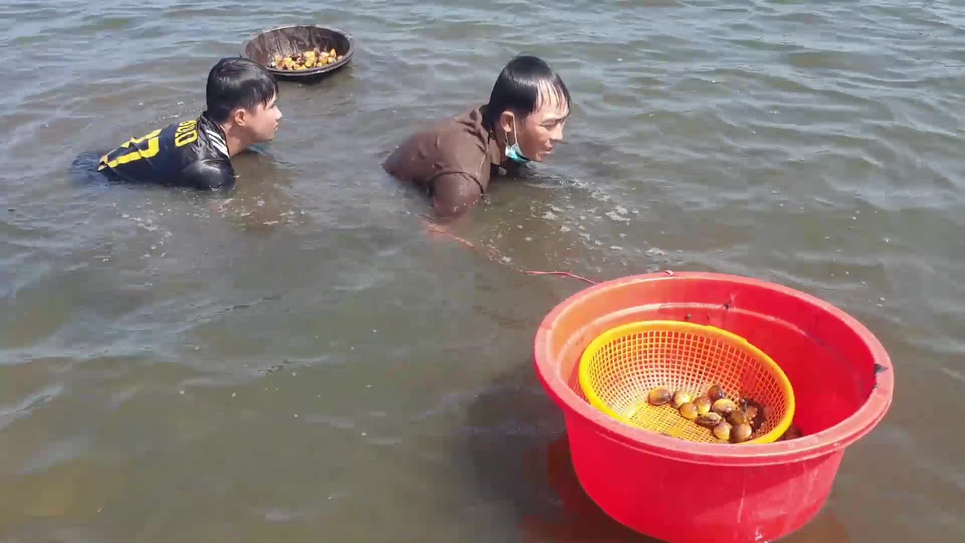 Người dân đổ ra sông bắt nghêu