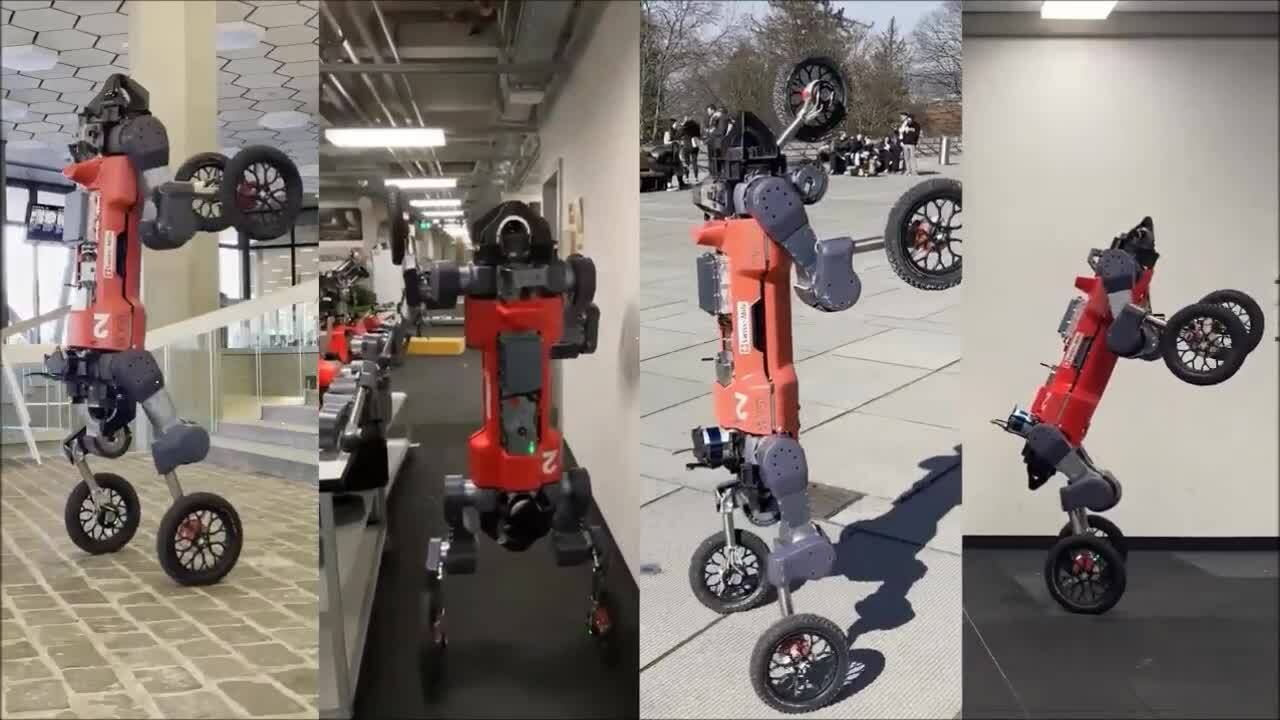 Robot chuyển từ 4 chân thành 2 chân trong vài giây