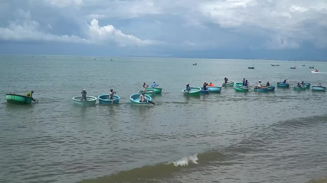 Phan Thiết vào mùa câu bạch tuộc
