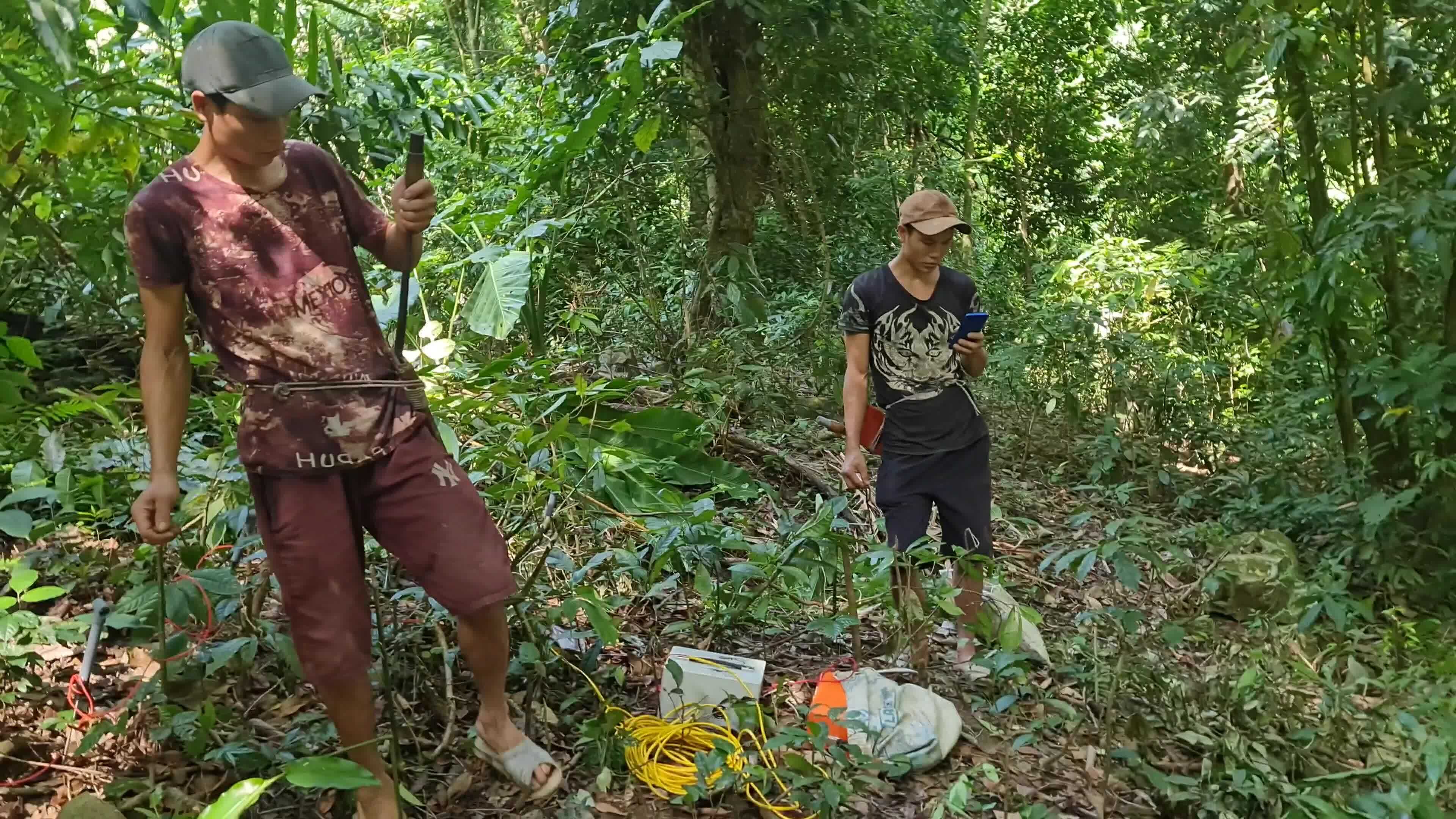 Vạch nát rừng phòng hộ kích điện giun đất